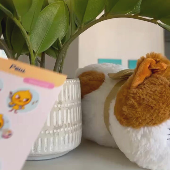 vidéo sticker holographique mignon pack pew