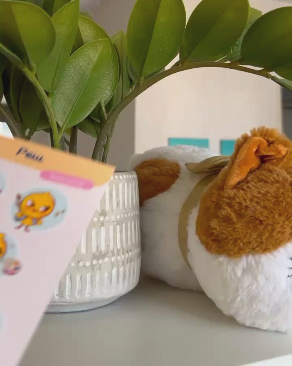 vidéo sticker holographique mignon pack pew